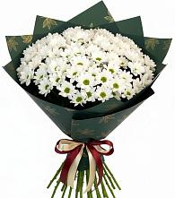 Букет цветов из:  Хризантемы в Токарёвке