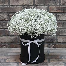 Цветочная композиция из Гипсофила в шляпной коробке #REPLACE_PRED# Токарёвке