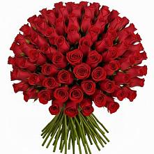 Букет Красные розы Чери Лав в Токарёвке